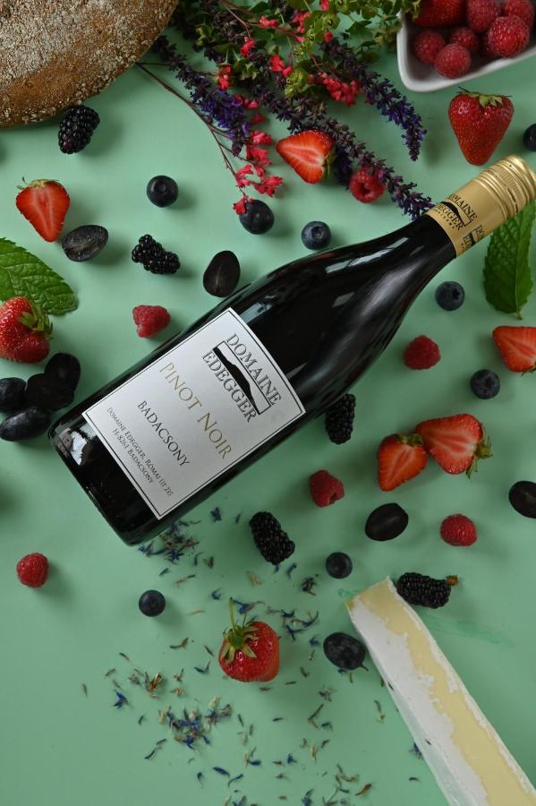 Апарт отель Domaine Edegger - Organic Winery Badacsony Бадачоньтомай Экстерьер фото